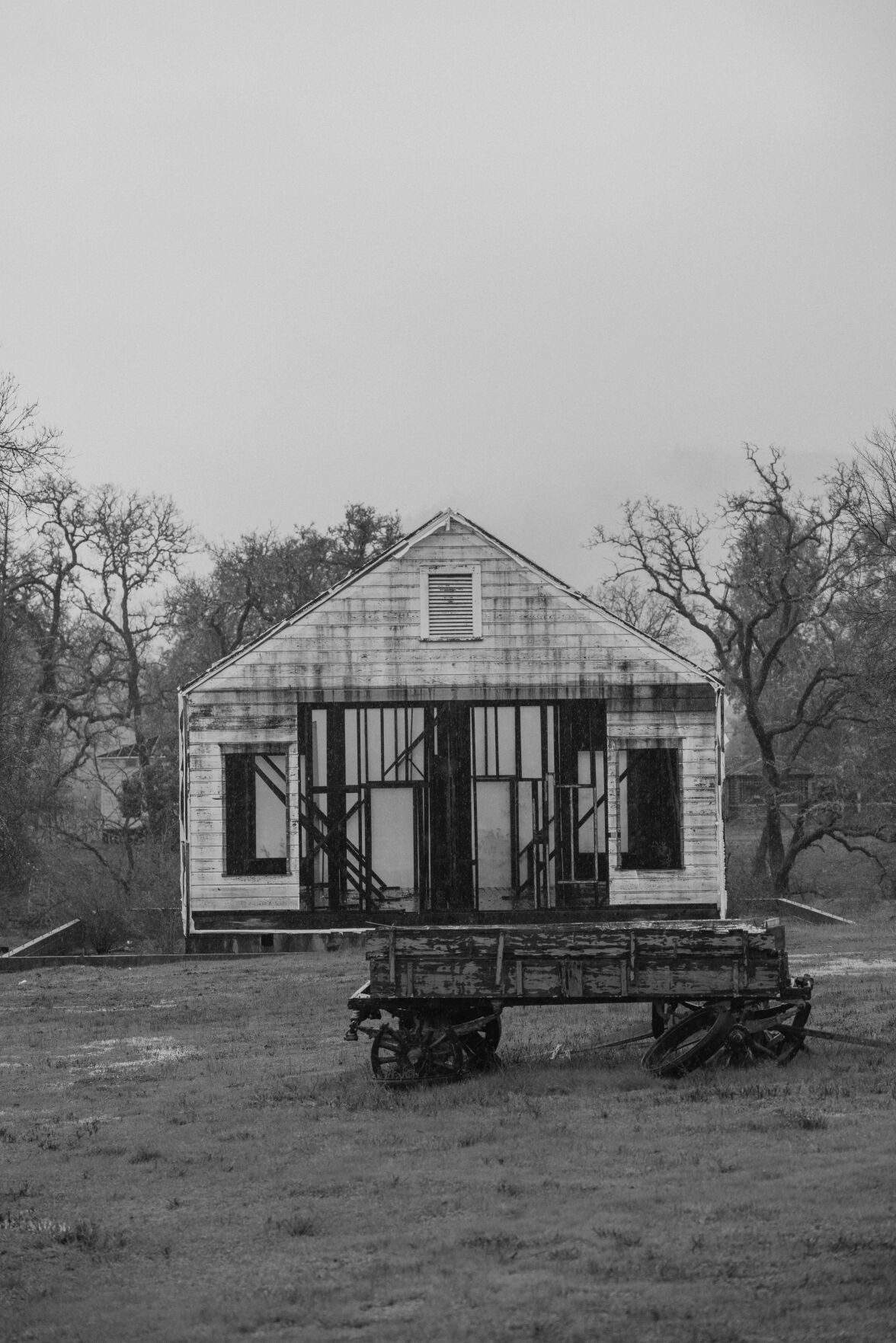 Aetna Springa BW